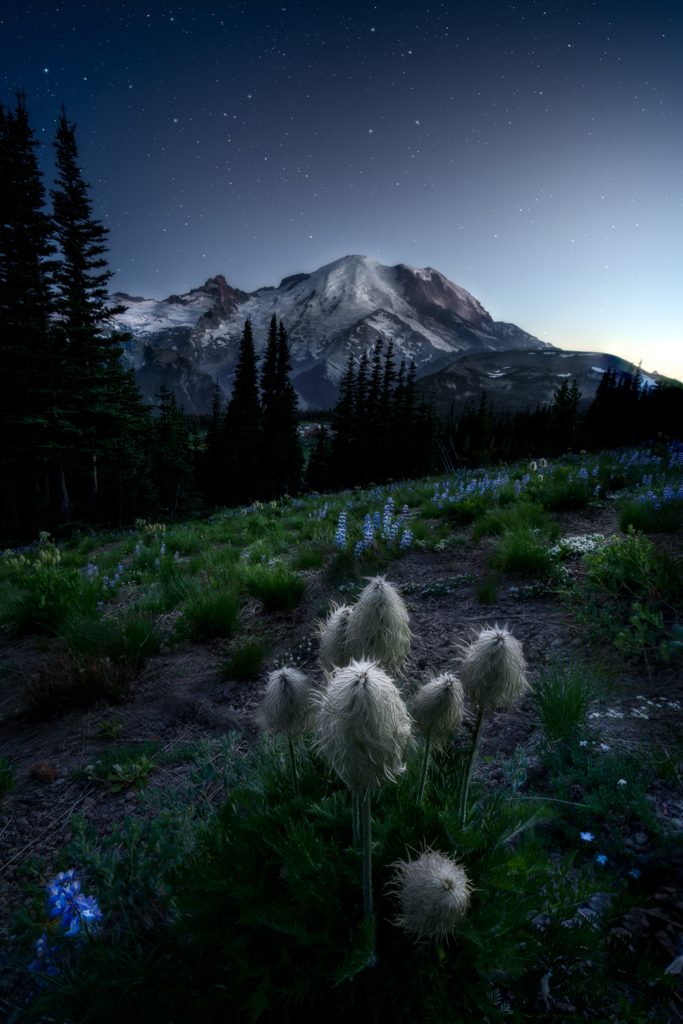 Mount Rainier